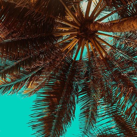 Aiolos Suite Sitia  Dış mekan fotoğraf