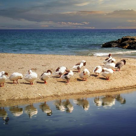 Aiolos Suite Sitia  Dış mekan fotoğraf