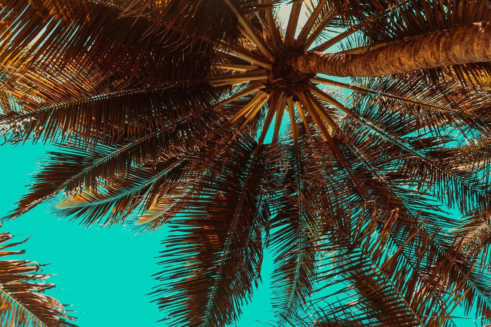 Aiolos Suite Sitia  Dış mekan fotoğraf